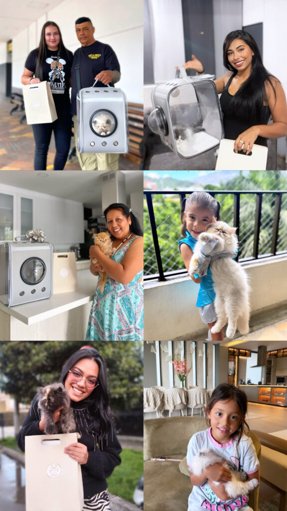 criadero-gatos-persas-entrega-cliente Proceso de entrega responsable de gatos persas en Colombia