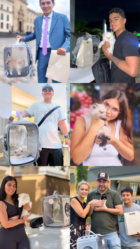 entrega-gato-persa-bogota-cliente Momento de entrega de un gato persa a su dueño