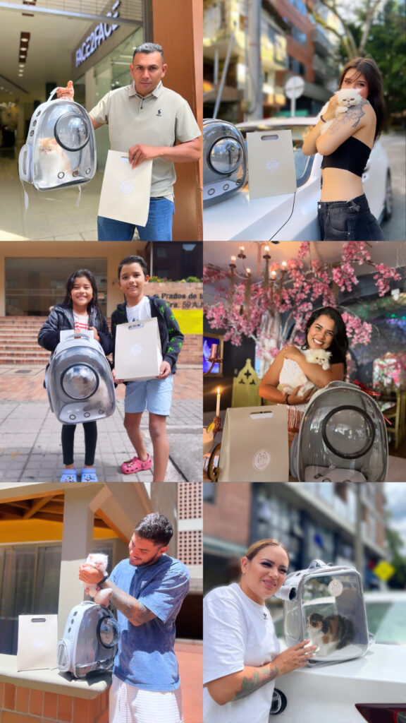 entrega-gato-persa-cliente-colombia Criadero especializado entregando gato persa a su cliente