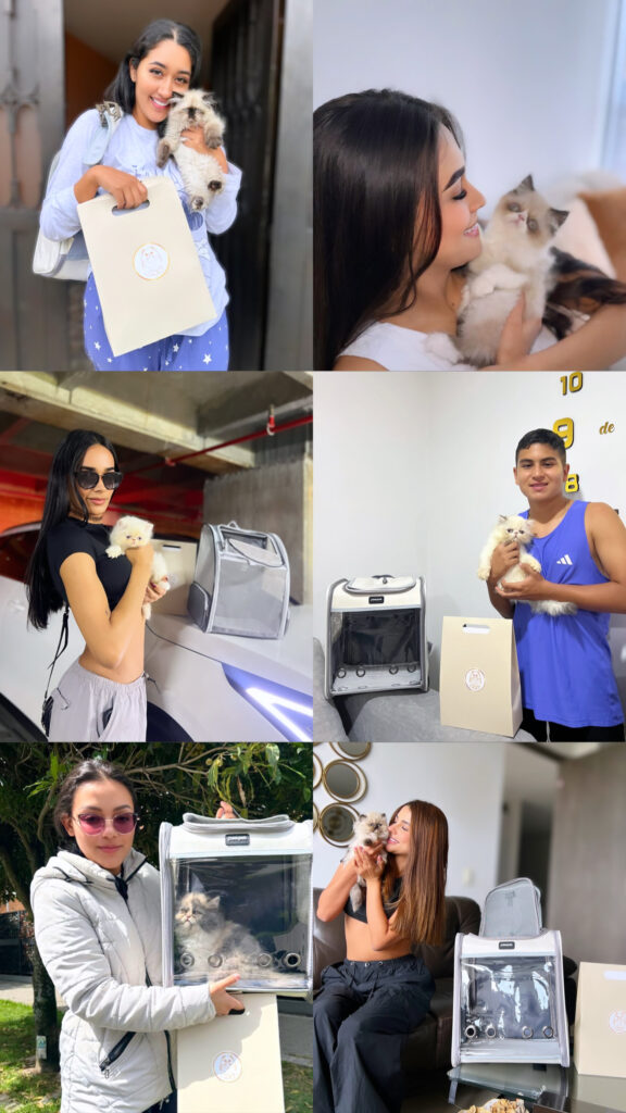 entregas-confiables-clientes-satisfecos Cliente feliz con su gato persa recién entregado