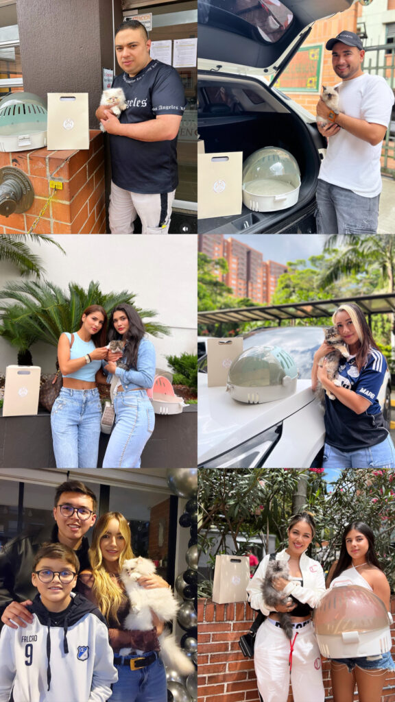 entregas-gatos-persas-medellin Cliente recibiendo su gato persa durante la entrega en Colombia