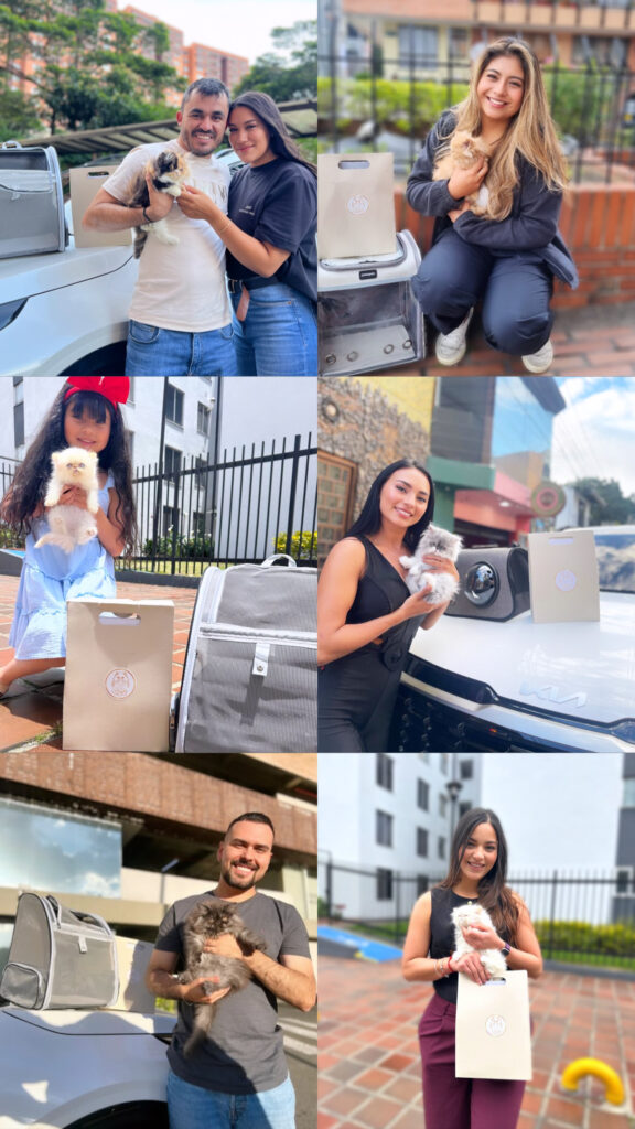 entregas-responsables-de-gatos-persas-bogota Clientes satisfecos tras entrega de sus gatos persa