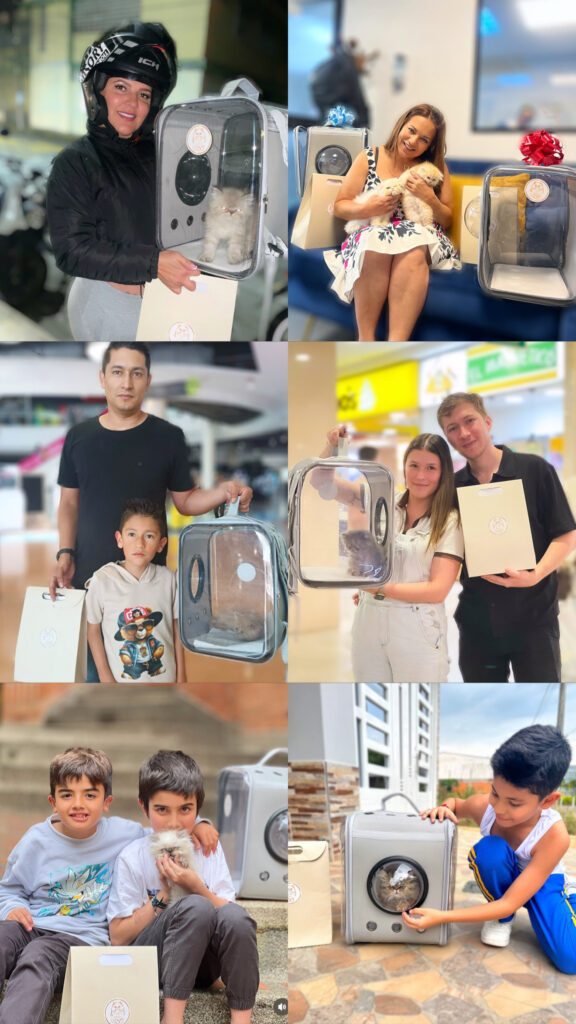 Clientes desde todo Colombia felices con su gato persa