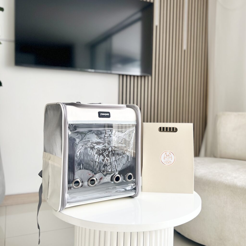 guacal-de-entregas-de-gatos-persas obsequio de entregas de gatos persas colombia